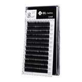 Blink B Curl Regular Lashes